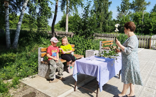 Кто в лесу живёт, что в лесу растёт